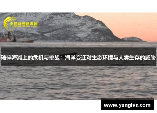 破碎海滩上的危机与挑战：海洋变迁对生态环境与人类生存的威胁
